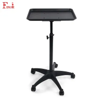 Salon Tepsi Arabası